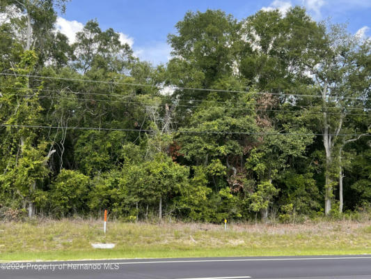0 US HWY 19, CHIEFLAND, FL 32626 - Image 1