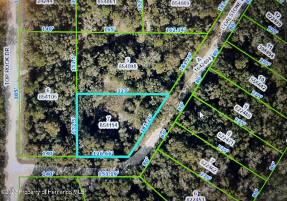 LOT 7 COALSTONE DRIVE, WEBSTER, FL 33597 - Image 1