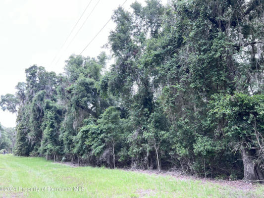 0 45TH TERRACE NW, CHIEFLAND, FL 32626 - Image 1